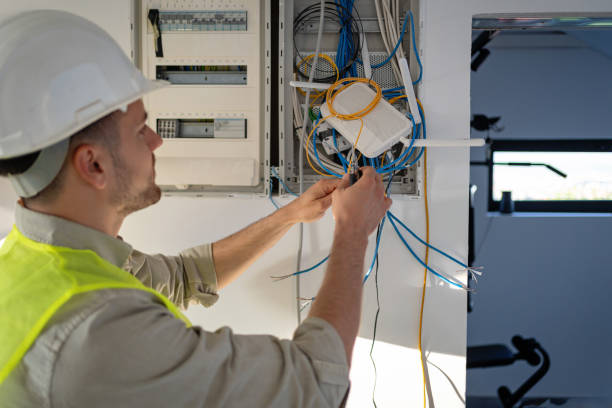 Best Ceiling Fan Installation Electrician  in Driggs, ID
